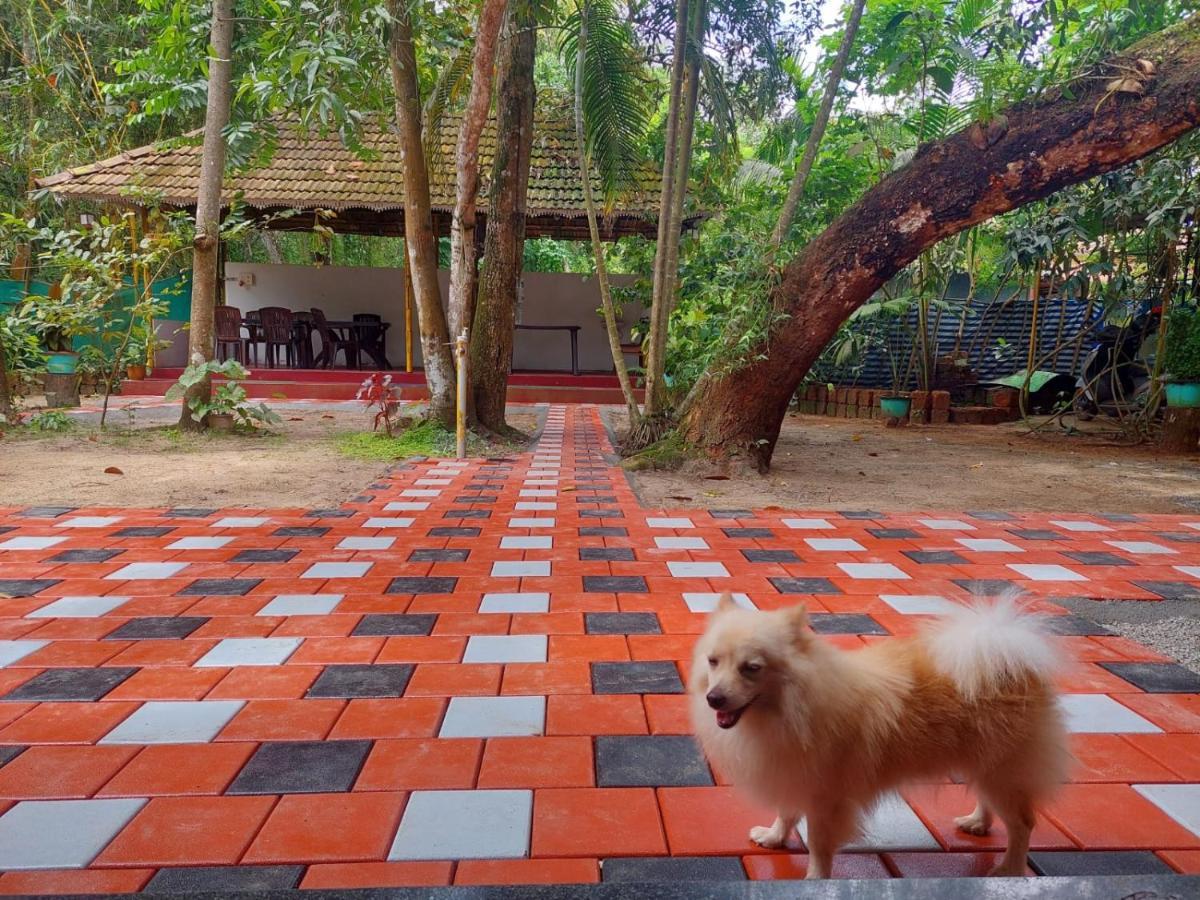 Ferienwohnung Marari Beach House Mararikulam Exterior foto